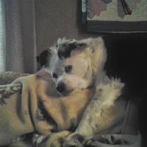 Meet your Posher, Jeffery